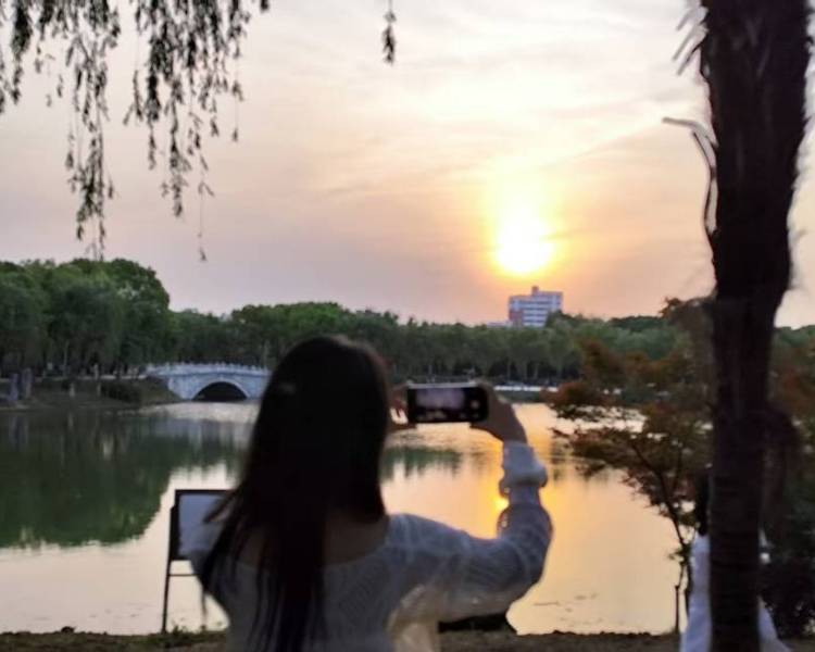 艺人背景图