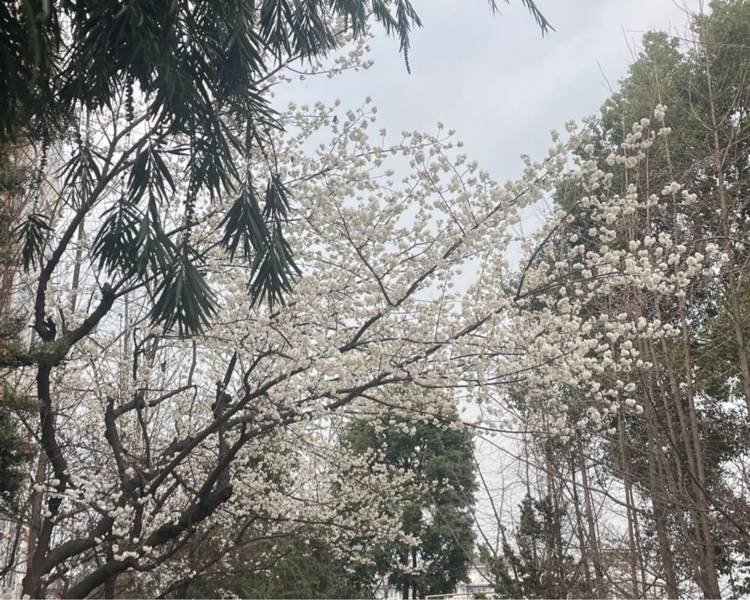 艺人背景图
