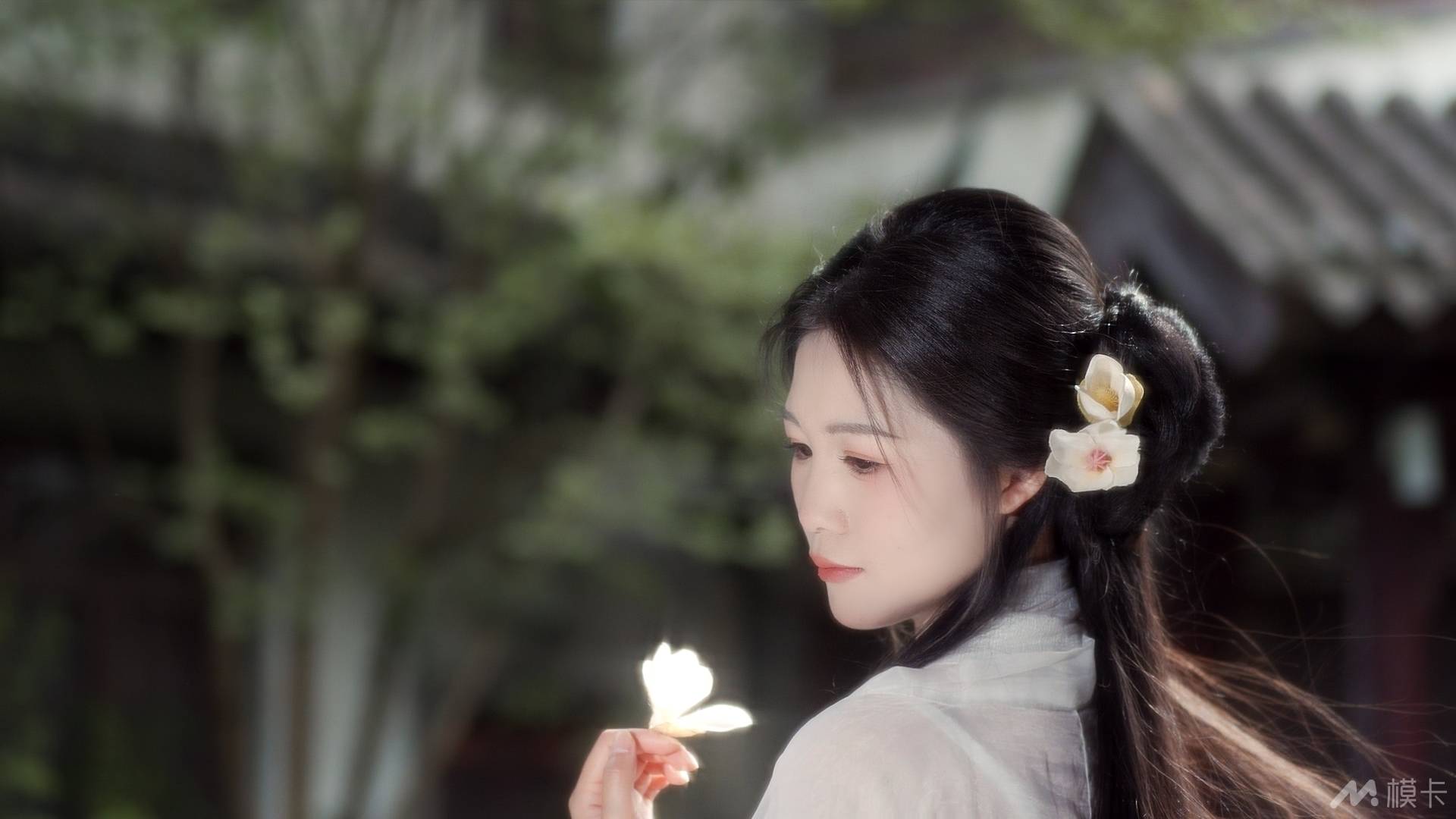 作品图片