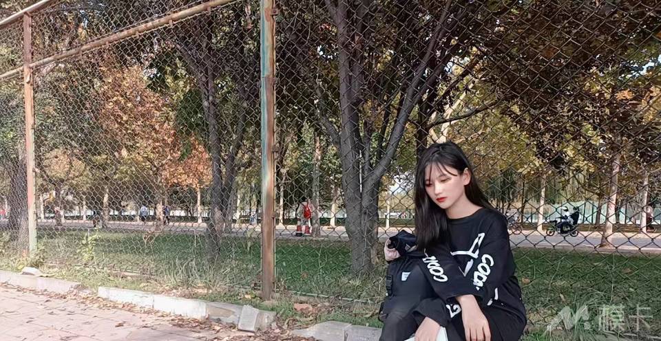 作品图片