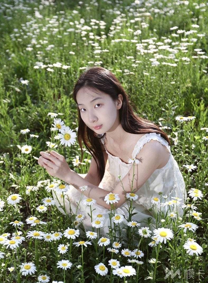 作品图片