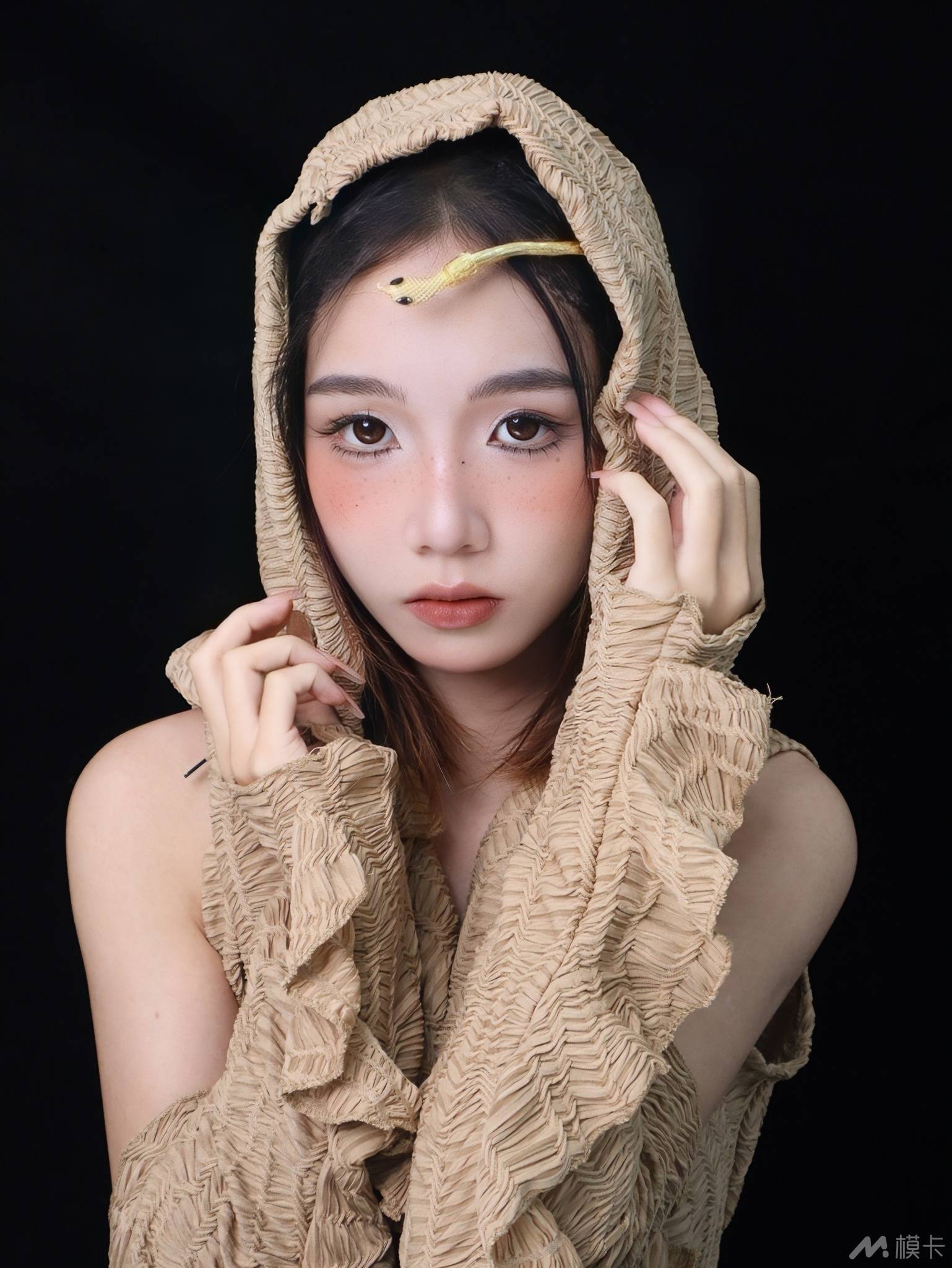 作品图片