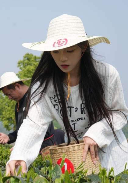 推荐艺人