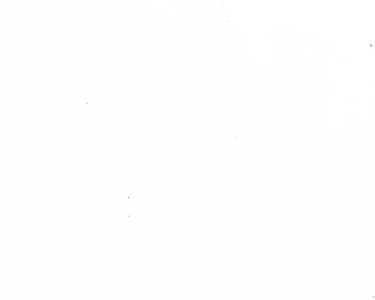艺人背景图