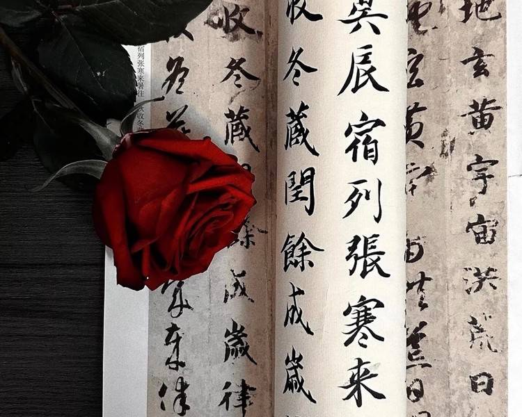 艺人背景图