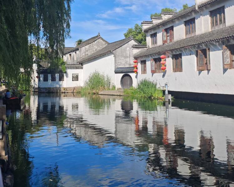 艺人背景图