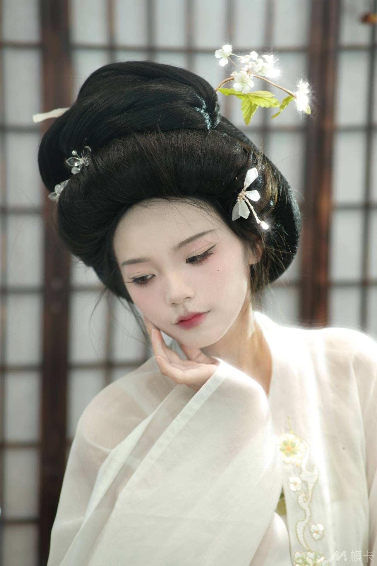 作品图片