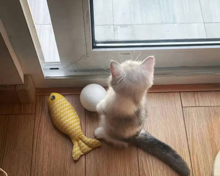 艺人背景图