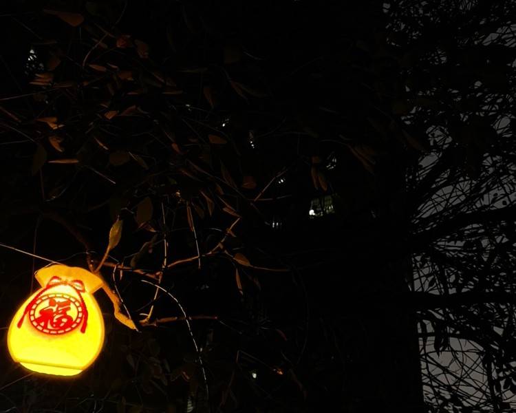 艺人背景图