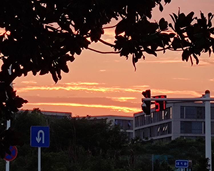 艺人背景图