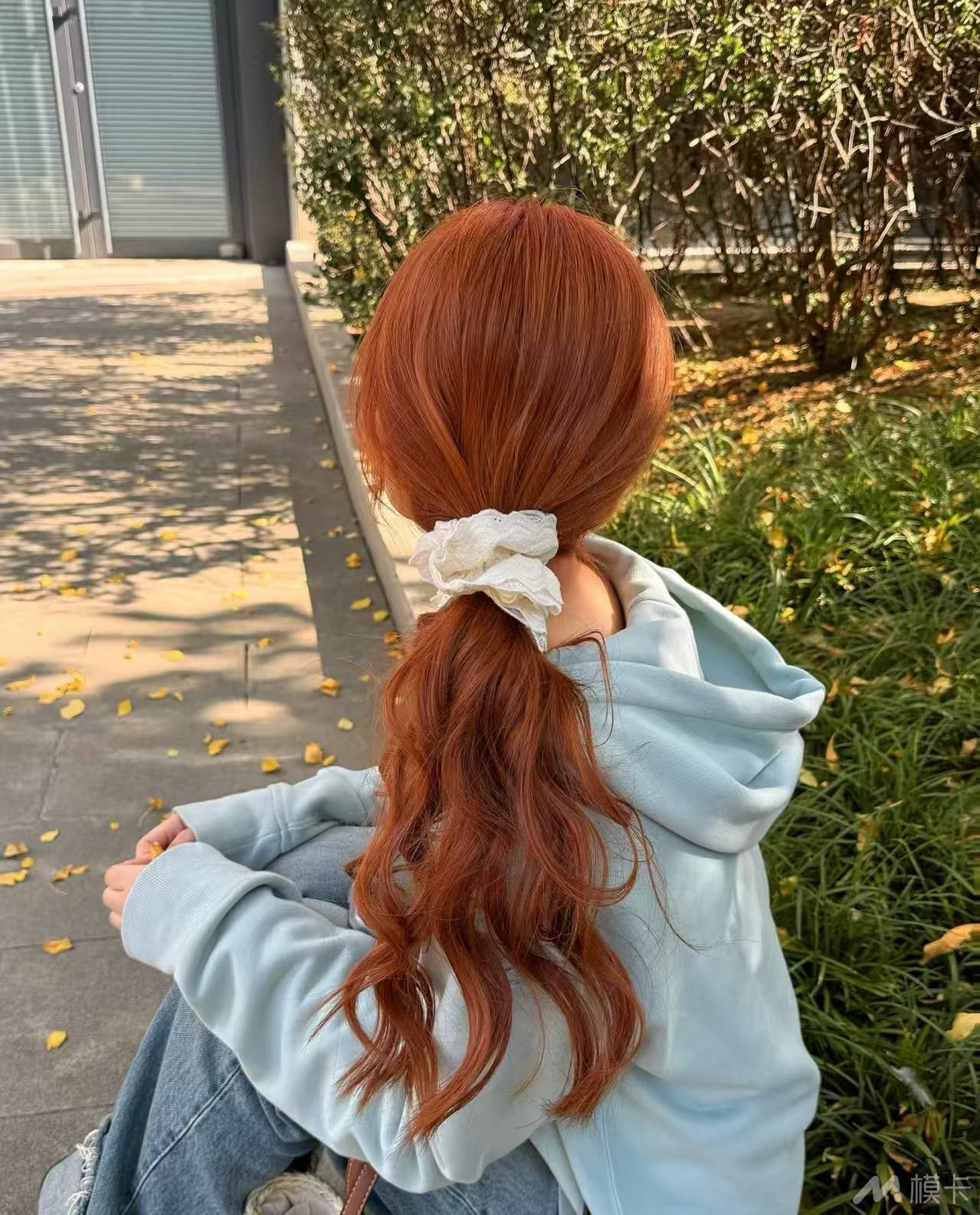 通告图片