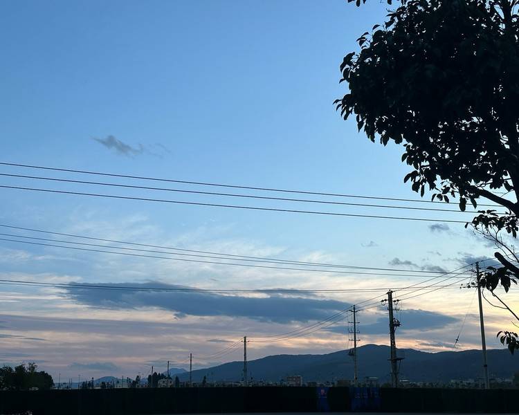 艺人背景图