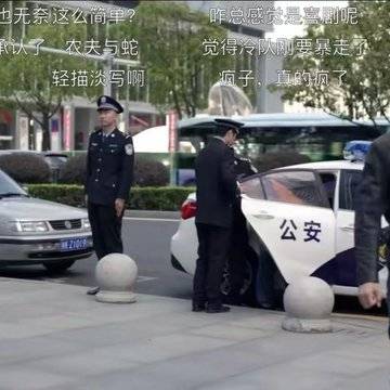 经历图片