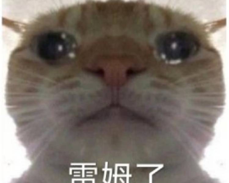 艺人背景图