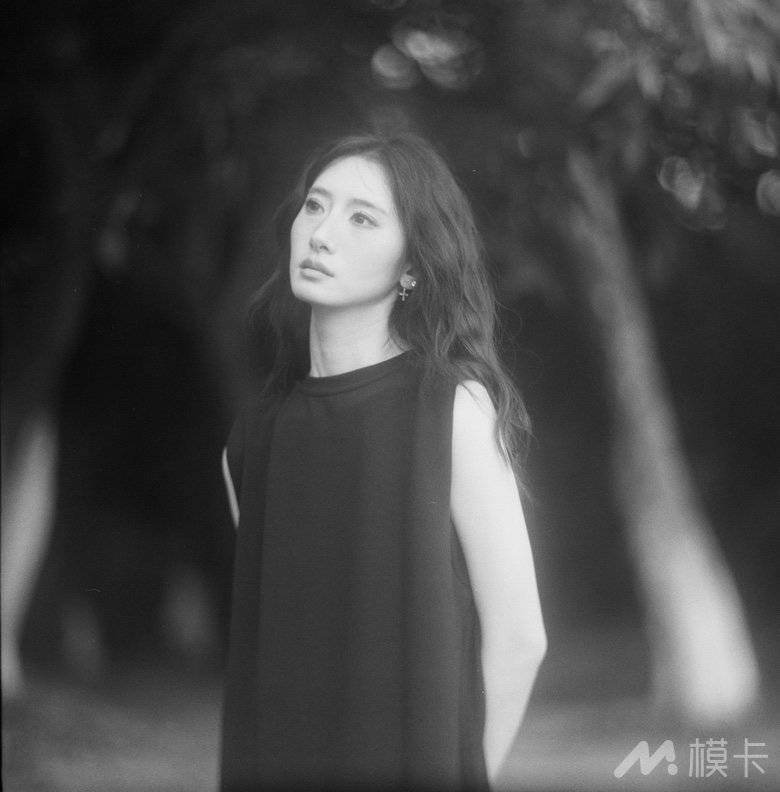 作品图片