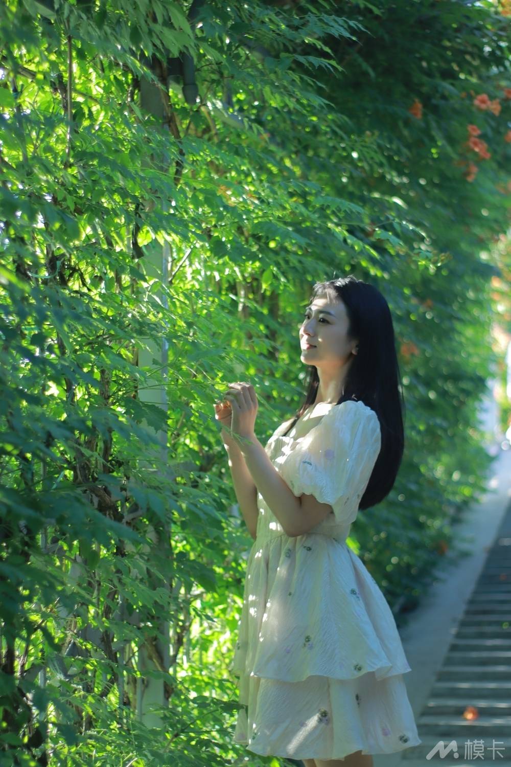 作品图片