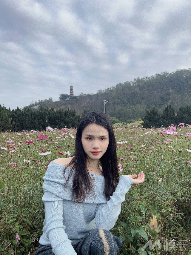 作品图片