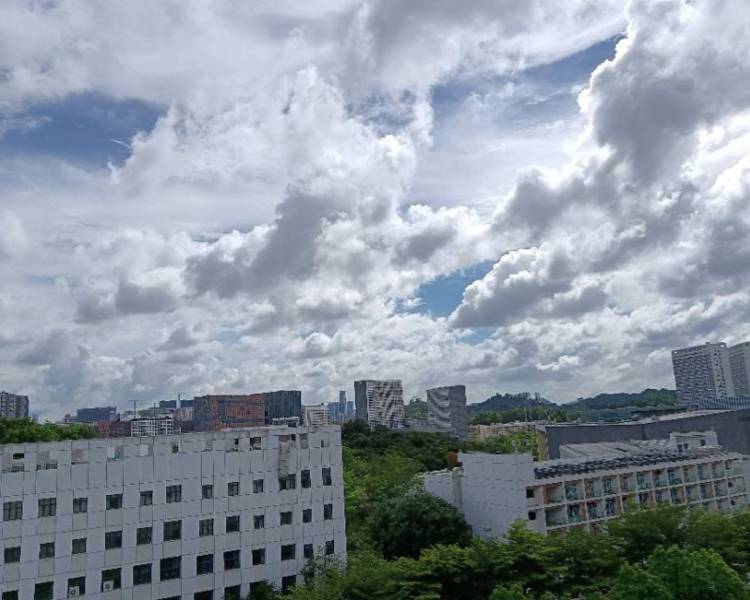 艺人背景图