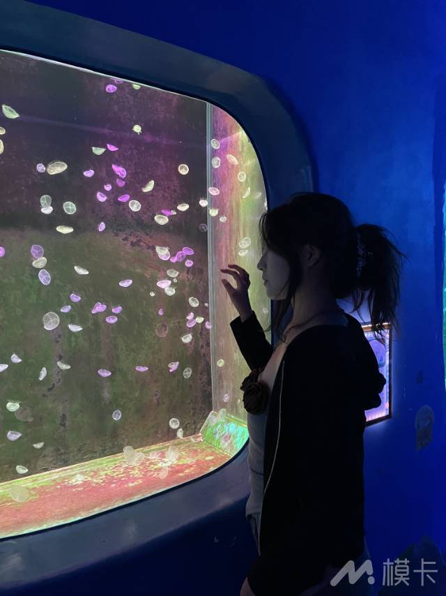 作品图片