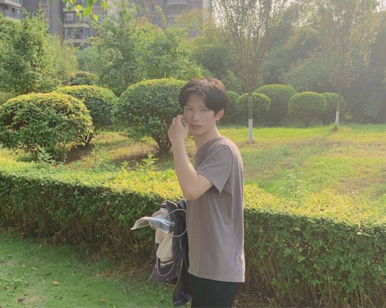 艺人背景图