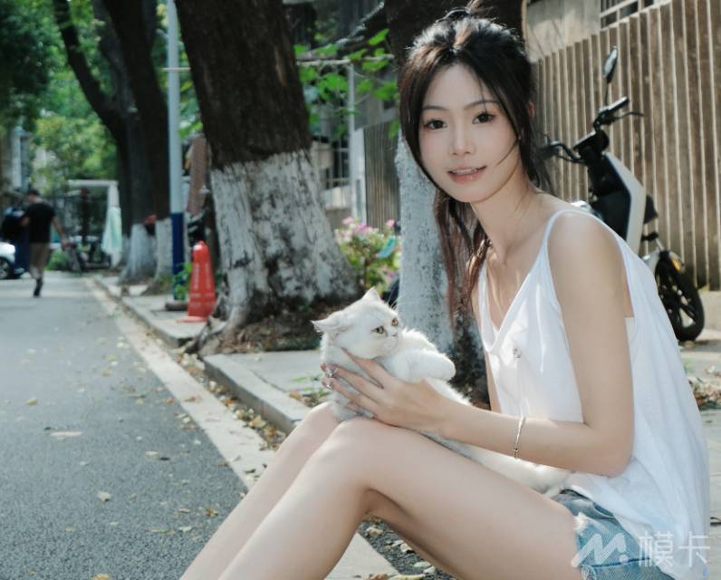作品图片
