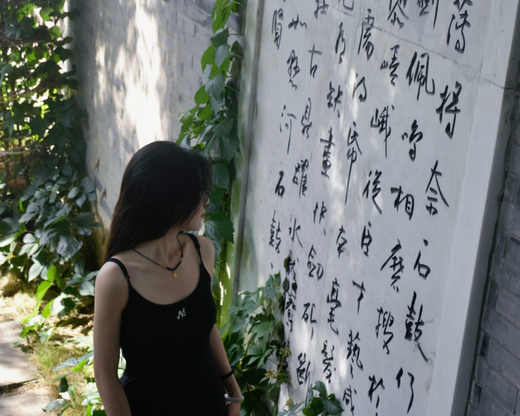 艺人背景图