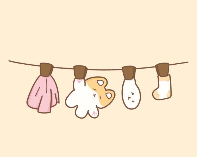 艺人背景图