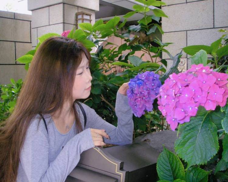 艺人背景图