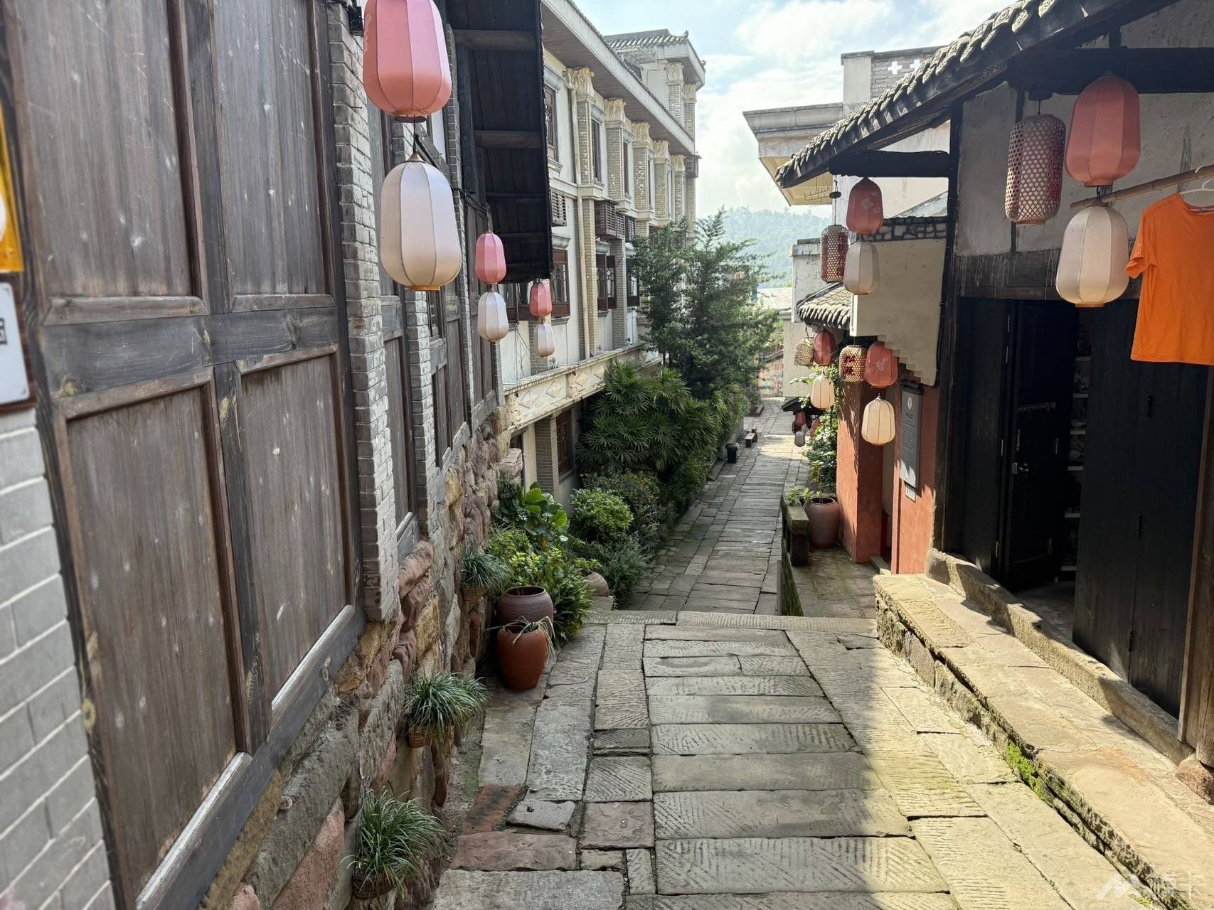 作品图片