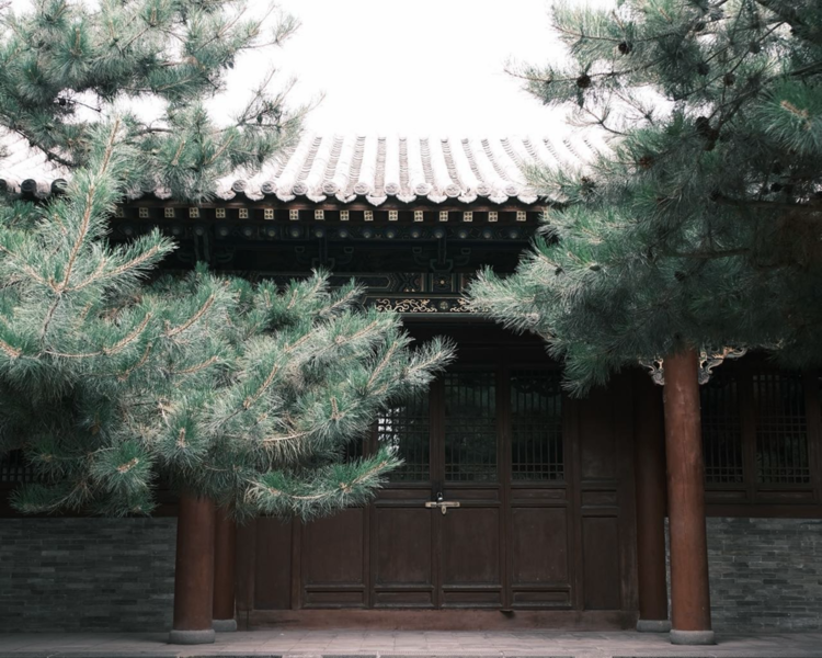 艺人背景图