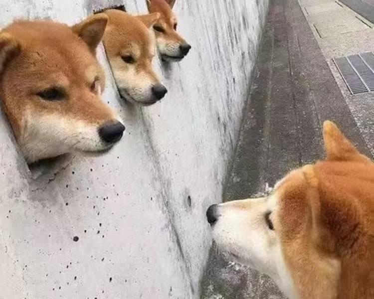 艺人背景图