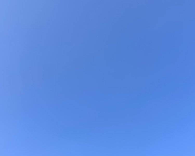 艺人背景图