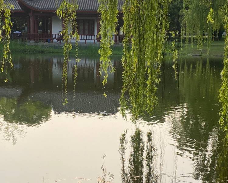 艺人背景图