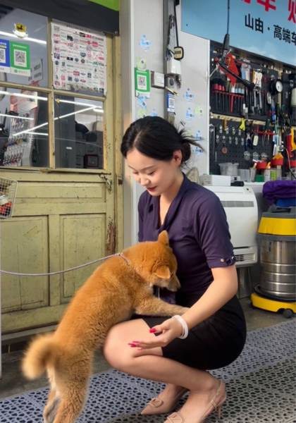 推荐艺人