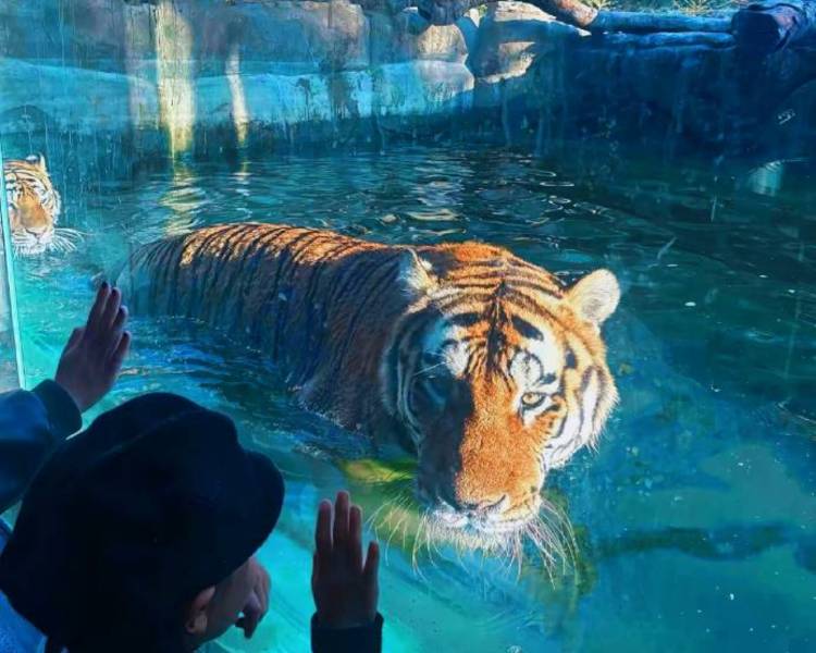 艺人背景图