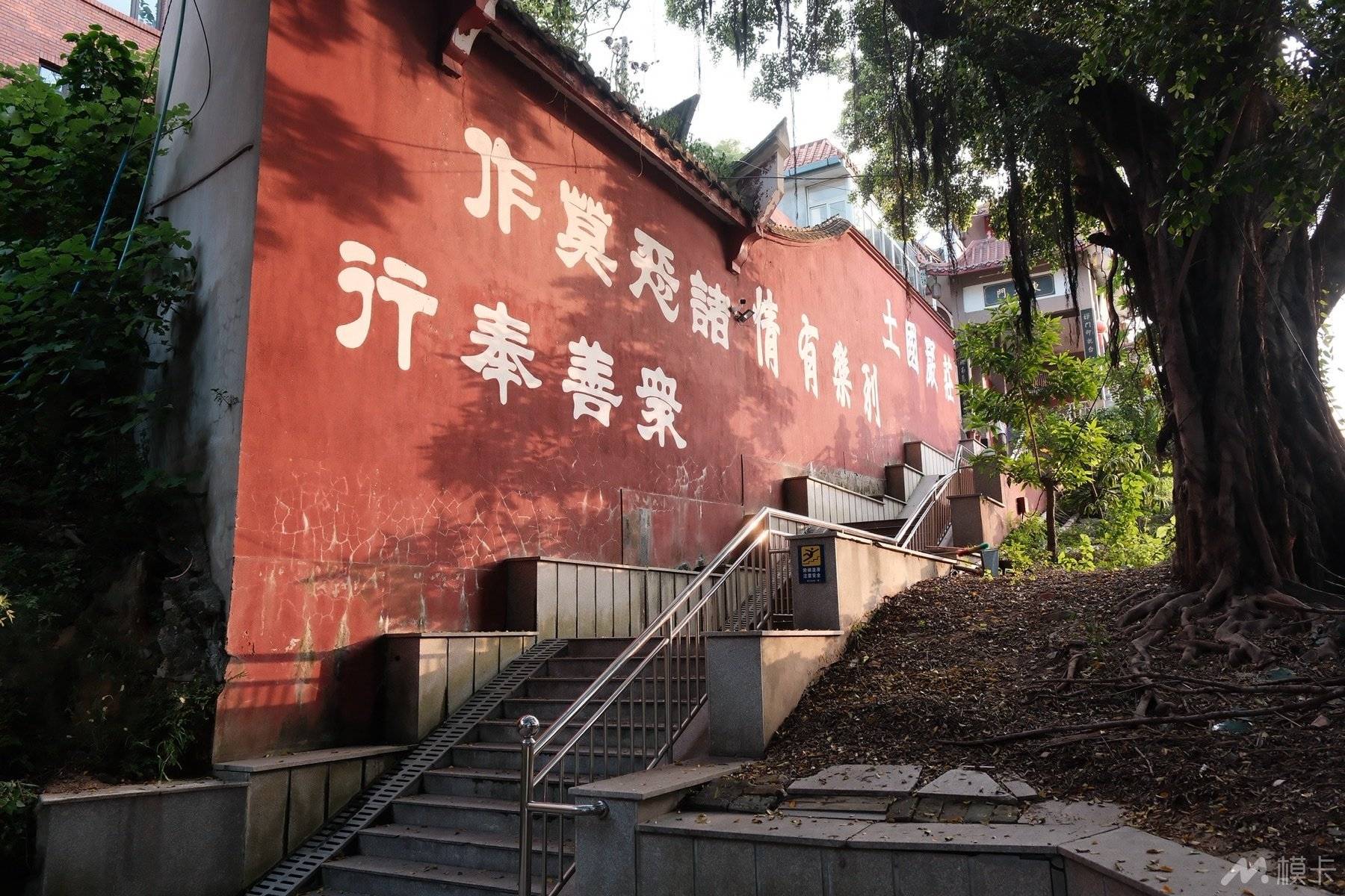 作品图片