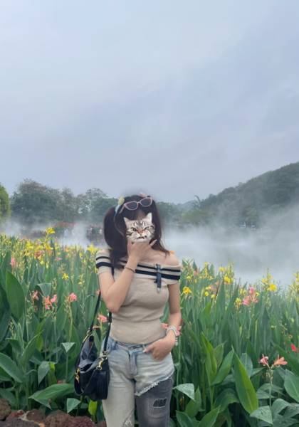 形象照片