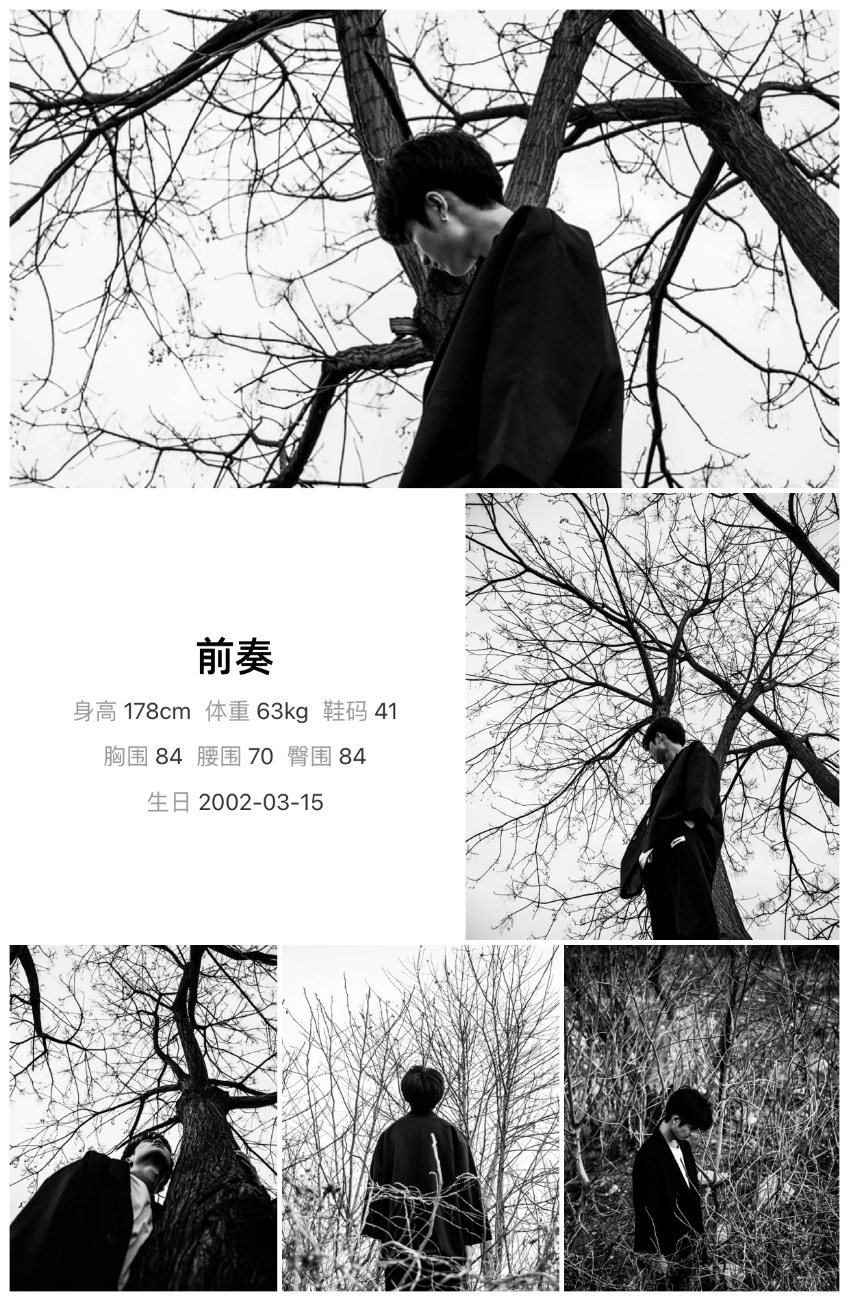 模卡