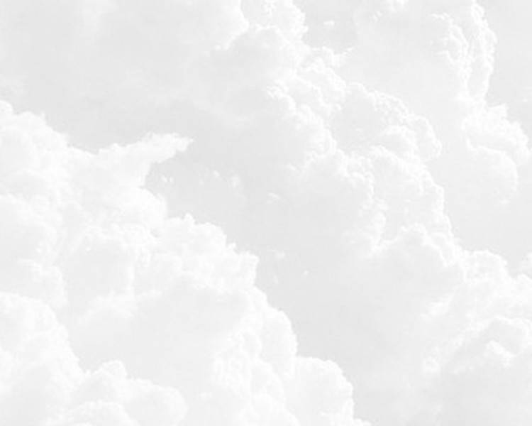 艺人背景图