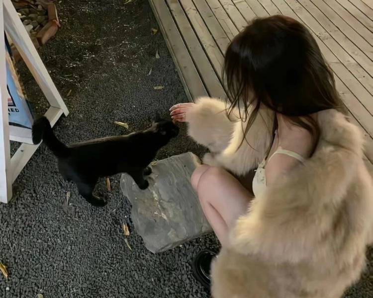 艺人背景图