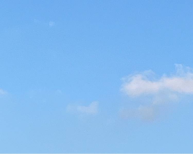艺人背景图