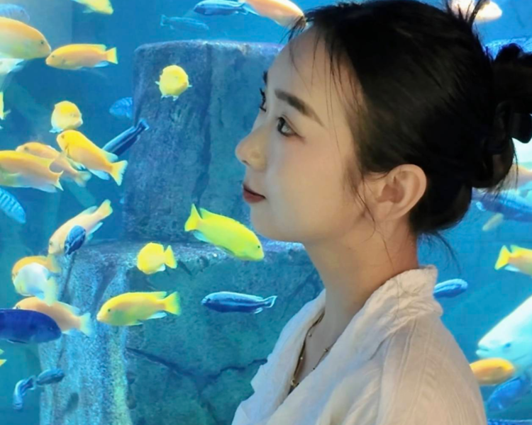艺人背景图
