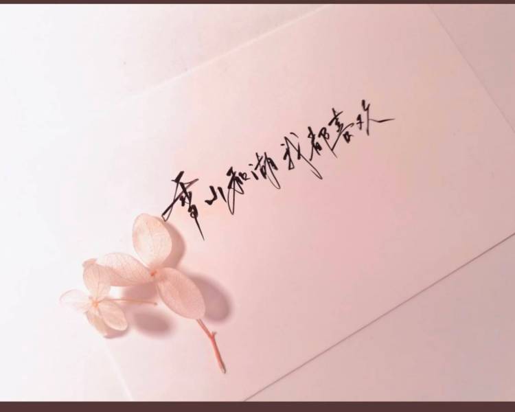 艺人背景图