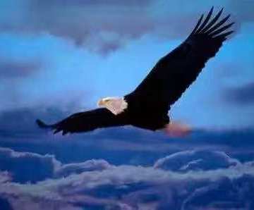 卢杰的微模卡作品