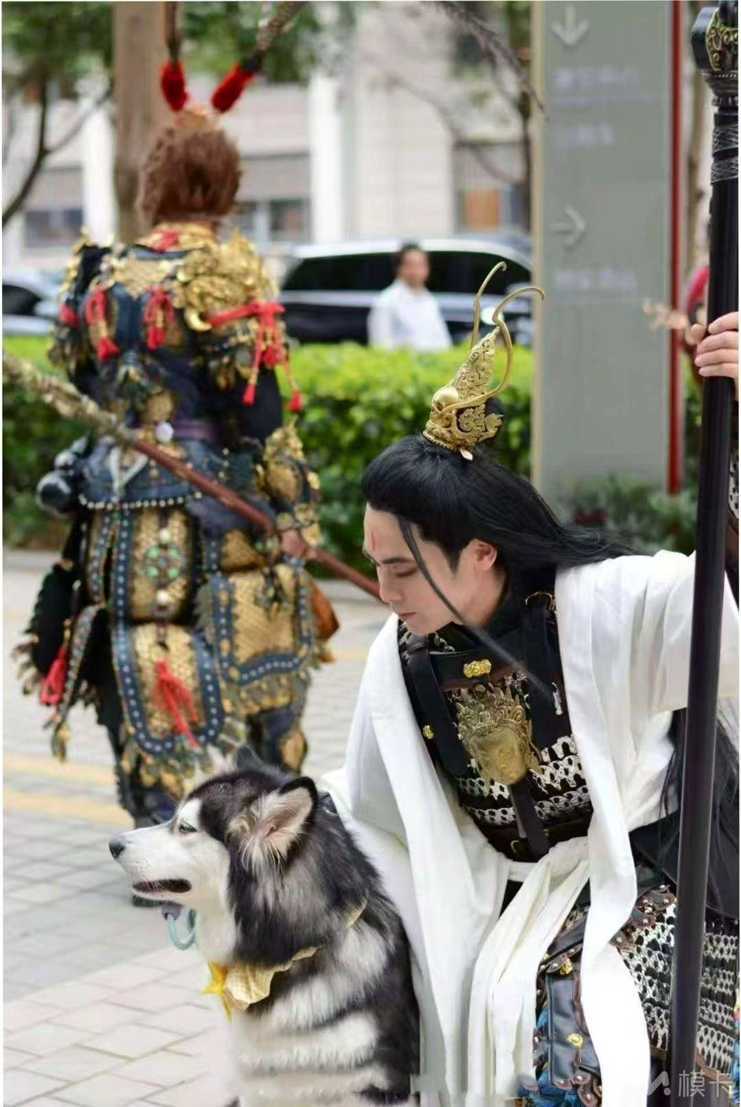 作品图片