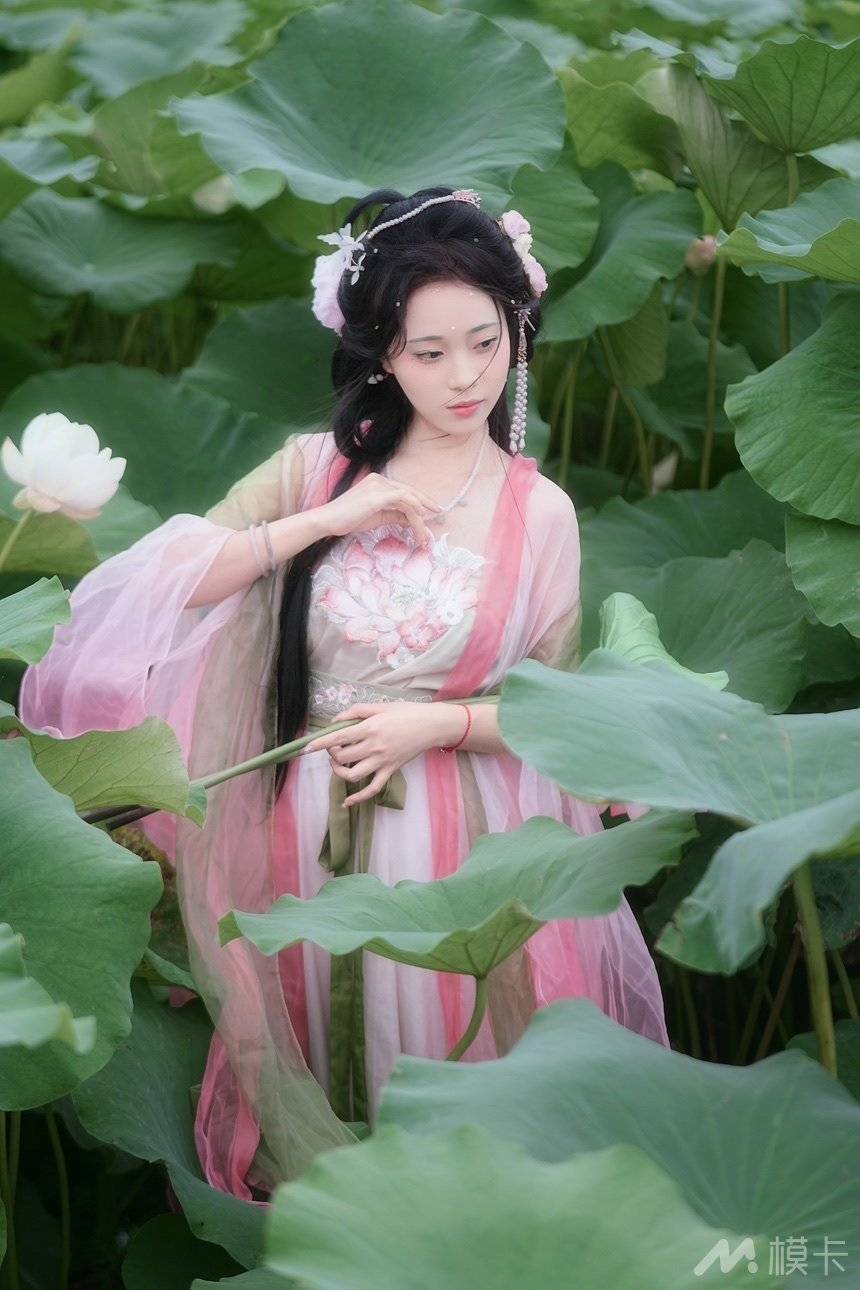 作品图片