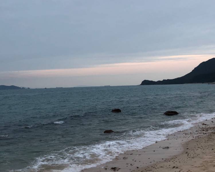 艺人背景图