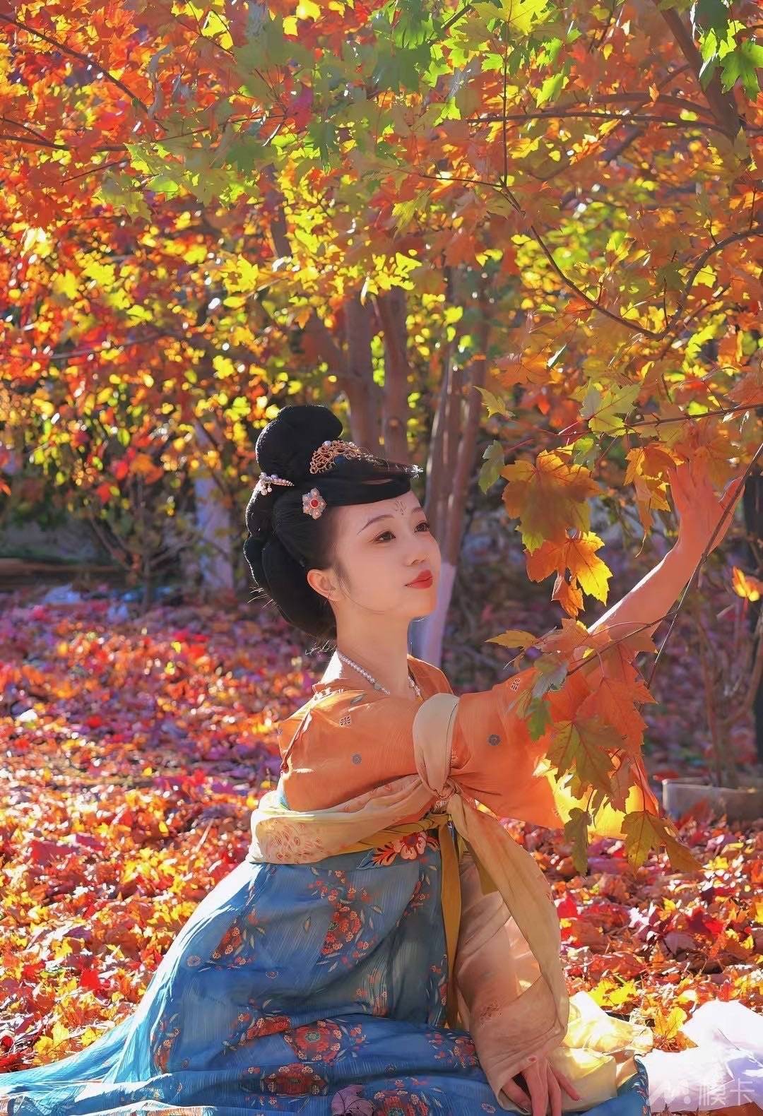 作品图片