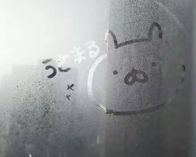 艺人背景图