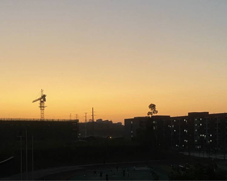 艺人背景图